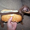 en-aegte-hotdog.jpg