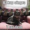 katte-sangere.jpg