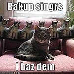 Katte sangere